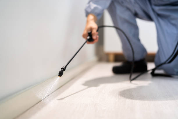 Licensed Termite Control service in Roxboro, NC - Show Me Pest Control