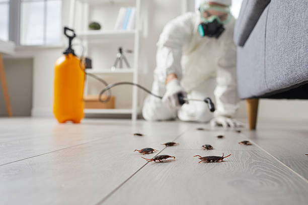 Commercial Rodent Management in Roxboro